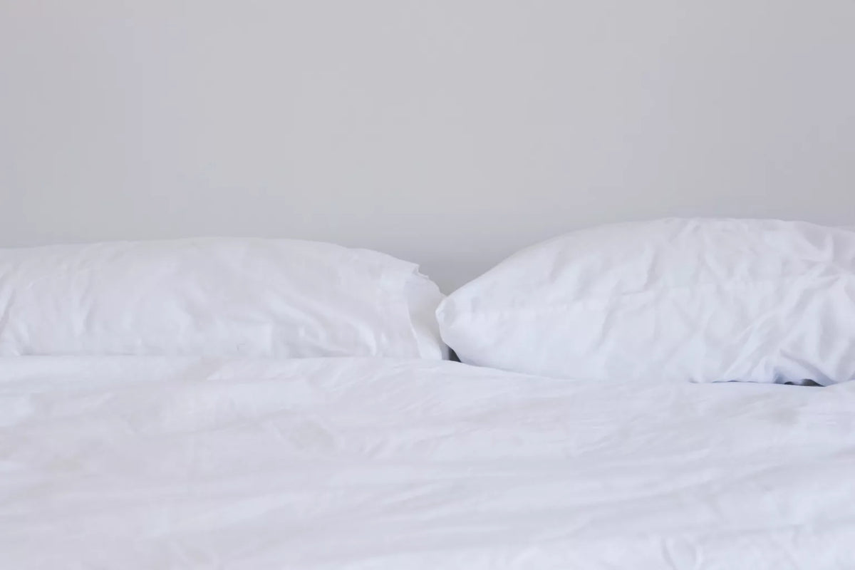 Protège matelas Ecomatelas 