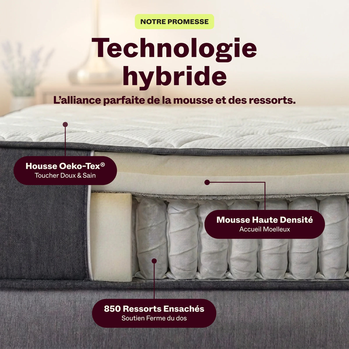 Vue en coupe du matelas Grand Rêve : 850 ressorts ensachés, mousse haute densité et housse Oeko-Tex